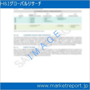 市場と産業調査レポートのイメージ